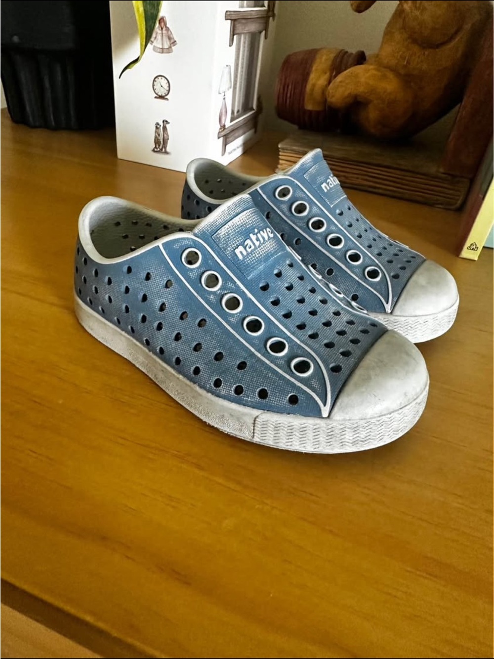 Native Kids Slip-On Jefferson Sneakers in Blue and White